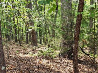Foreclosed Home - List 101366512