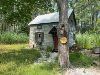 Foreclosed Home - 20250 DEEP CREEK RD, 23417