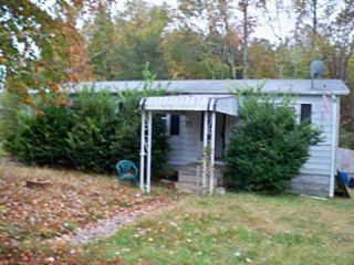 Foreclosed Home - 77 MCARTHUR DR, 23824
