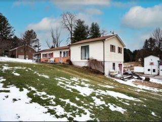 Foreclosed Home - 2884 OLD FORT RD, 24060