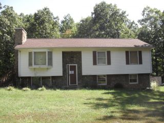 Foreclosed Home - 303 MEADOW CREEK DR, 24174
