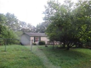 Foreclosed Home - 197 WILDLIFE DR, 24382