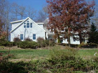 Foreclosed Home - 185 LAMPLIGHTER AVE, 24901