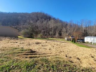 Foreclosed Home - 8492 CABIN CREEK RD, 25075