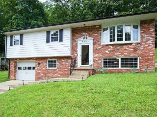 Foreclosed Home - 229 BROOKHAVEN DR, 25143