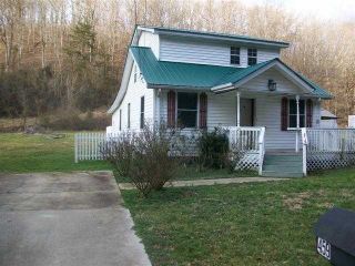 Foreclosed Home - 459 LITTLE FUDGE CREEK RD, 25504