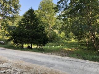 Foreclosed Home - 1230 RIGHT FORK BEECH FORK RD, 25512