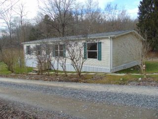 Foreclosed Home - 163 Sterle Avenue, 26501