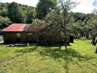 Foreclosed Home - 196 WARRIOR FORK RD, 26582
