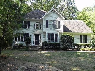 Foreclosed Home - 4231 NEW HOPE SPRINGS DR, 27278