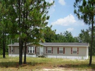 Foreclosed Home - 847 NC 381 HWY, 28345