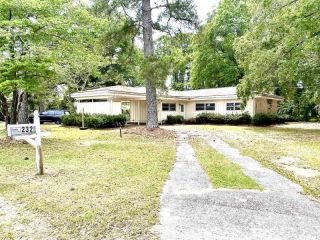 Foreclosed Home - 232 ELM ST, 28439