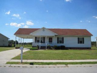 Foreclosed Home - 229 OLIVE BRANCH BLVD, 28530