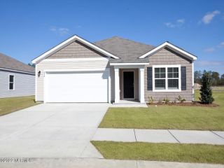 Foreclosed Home - 415 TURP LANDING LN, 28546