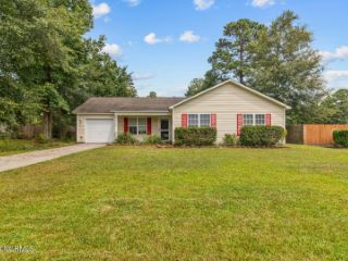 Foreclosed Home - 113 ASHBURY PARK LN, 28574