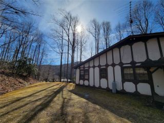 Foreclosed Home - 91 CHESTNUT HILL RD, 28711