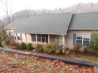 Foreclosed Home - 20 GAP HILL DR, 28732