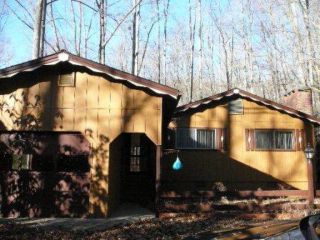 Foreclosed Home - 843 YOUNG COVE RD, 28734