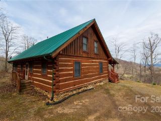 Foreclosed Home - 226 HIGH TOP MOUNTAIN RD, 28748