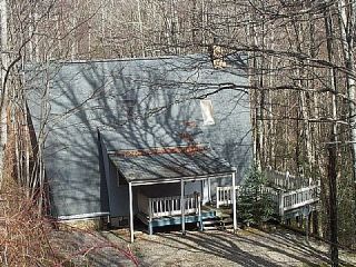 Foreclosed Home - 342 MASH STOMP RD, 28751