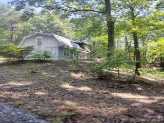 Foreclosed Home - 59 CHARIOT DR, 28752
