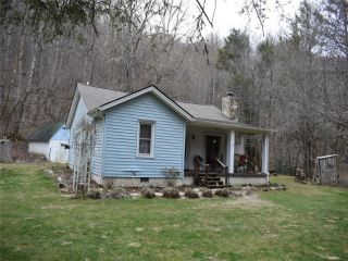 Foreclosed Home - 48 CHESTNUT MOUNTAIN RD, 28777