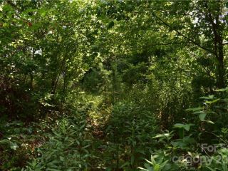 Foreclosed Home - 16 S PINE DR LOT 15, 28787