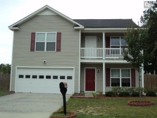 Foreclosed Home - 172 S HIGH DUCK TRL, 29016