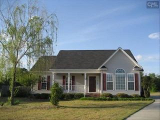 Foreclosed Home - 20 AMBERHILL CT, 29020