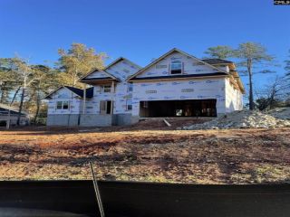 Foreclosed Home - 415 LOOKOVER POINTE DR, 29036