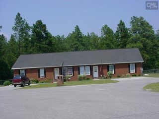 Foreclosed Home - 18 WILLOW LN, 29045