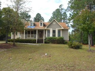 Foreclosed Home - 63 CAMP CREEK DR, 29045