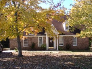 Foreclosed Home - 220 SHAWN CT, 29063