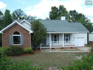 Foreclosed Home - 253 SUMMER WALK CT, 29170