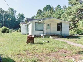 Foreclosed Home - 96 SMOKETHORN ST, 29510