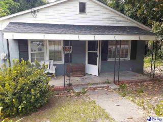 Foreclosed Home - 311 FRONT ST, 29520