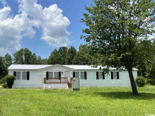 Foreclosed Home - 164 SWAMP FOX DR, 29527