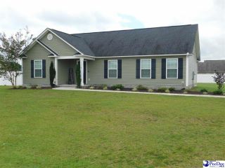 Foreclosed Home - 4848 LULLWATER DR, 29532