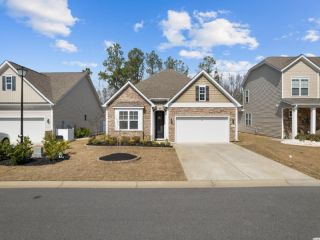 Foreclosed Home - 1209 WIND SWEPT CT, 29566