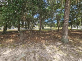Foreclosed Home - 1005 TARPON POND RD, 29582