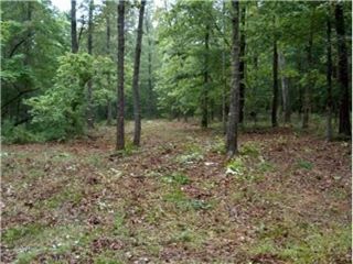 Foreclosed Home - 574 PINE MOUNTAIN RD, 29686