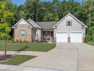 Foreclosed Home - 229 AMERSON DR, 29730