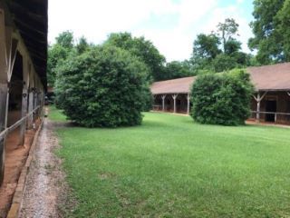 Foreclosed Home - List 100842762