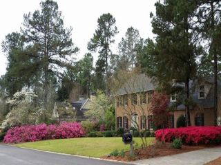 Foreclosed Home - 120 YELLOW PINE RD, 29803