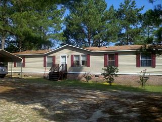 Foreclosed Home - 97 BUSSEY RD, 29853