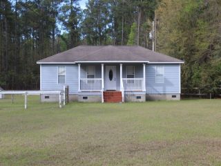 Foreclosed Home - 371 NICKELTOP RD, 29856