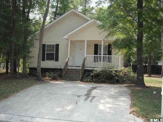 Foreclosed Home - 1 MAY RIVER CT, 29910