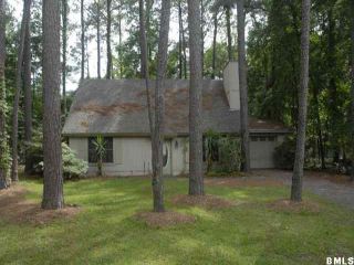 Foreclosed Home - 28 SQUIRESGATE RD, 29926