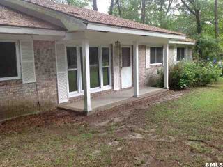 Foreclosed Home - 76 CARTERS MILL RD, 29936