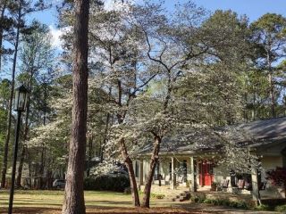 Foreclosed Home - List 100825781